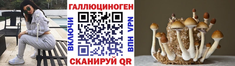 даркнет сайт  Кировск  shop состав  Псилоцибиновые грибы мухоморы 